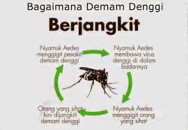 Berdarah pada badan, hidung dan mulut. Bahasaku Global Bangsaku Glokal Nyamuk Aedes Membiak Cepat Semasa Cuaca Panas