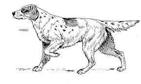 Pin On Outlines