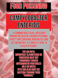Food Poisoning Food Safety And Sanitation Food Safety Tips Food Borne Illness