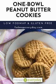 Low Fodmap One Bowl Peanut Butter Cookies Fodmap Everyday Recipe In 2021 Peanut Butter Cookies Low Fodmap Recipes Fodmap