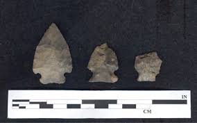 NYAC Newsletter Fall 2010