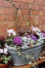 Voici deux exemples de jardinières hivernales à composer avec des végétaux faciles à trouver chez les fleuristes. Epingle Sur Jardin