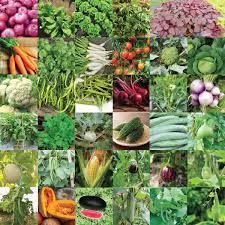 It is used in almost every indian preparation. Pyramid Seeds Indian Vegetable Seeds Bank For Home Garden 35 Varieties 1675 Seeds Amazon In Garden Outdoors