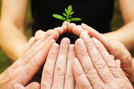 Image result for growth