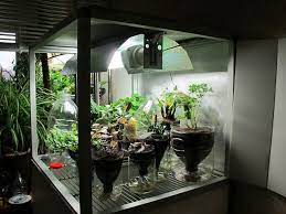 Home Made Grow Box Growing Food Hydroponic Gardening Growing Food Indoors