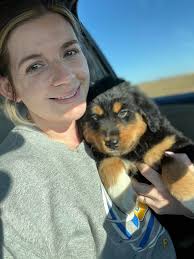 ADOPTED!! We have the cutest little golden collie girl available!! She is  only 9 weeks old and the last of her litter... we would love to get her  into her new home