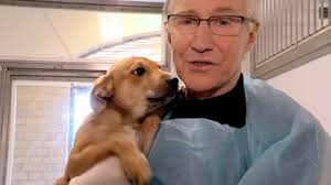 Paul O'Grady: For the Love of Dogs S1