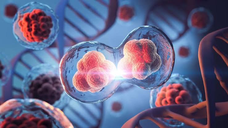 Cancer Genomics: Advancing Precision in Diagnosis | Technology Networks