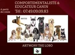 Antonio Rita Educateur et Comportementaliste canin