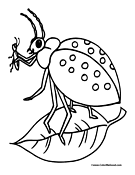 Printable cars coloring pages & activities for kids and family. Beetle Coloring Pages