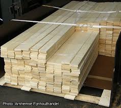 Image result for Triplochiton zambesiacus