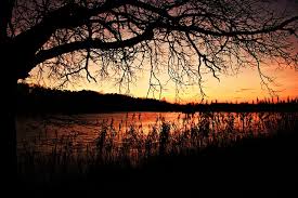 I care about you deeply, in ways than you can imagine. Cute Good Evening Messages Quotes Sms And Images Deedee S Blog