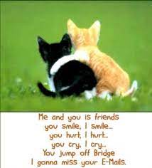 What greater gift than the love of a cat. Kitten Friendship Quotes Quotesgram