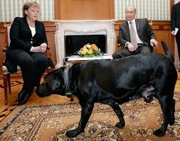 Vladimir Putin gets puppy for his ...