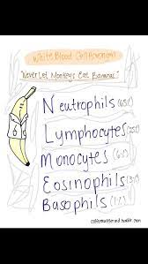 Banana Nursing School Survival Nursing School Studying Nursing School Tips