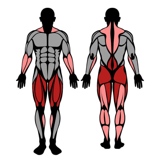 How to Do Snatch: Muscles Worked & Proper Form – StrengthLog