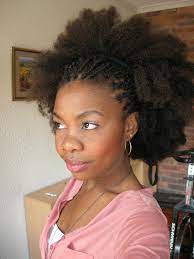 Protective Hairstyles For Natural Hair South African Natural Hair Blog Protective S Natural Hair Styles African Natural Hairstyles Braids For Black Hair