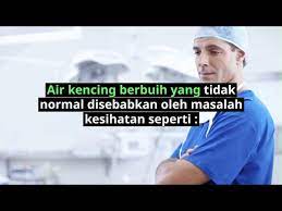 Namun, lain cerita jika kencing berbusa sering terjadi, atau disertai keluhan. Kenapa Air Kencing Berbuih Adakah Ini Tanda Sakit Buah Pinggang