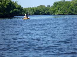 Little Manatee River Wikipedia