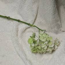 Blue and green hydrangea wedding bouquets. Green Hydrangea Wedding Bouquets Easy Flower Tutorials For Weddings
