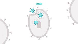 Maybe you would like to learn more about one of these? Funktionsweise Der Corona Impfstoffe So Schutzt Die Impfung Vor Dem Coronavirus Zeit Online