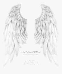 We did not find results for: Realistic Angel Wings Drawing Hd Png Download Transparent Png Image Pngitem