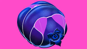 Maybe you would like to learn more about one of these? Thought This Looked Like A Hot Bongo Bongo From An Article About People Attracted To The Blueberry Inflation Scene From Willy Wonka Zelda