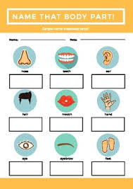 Listening activity for students to increase their skills. Body Parts Worksheets Free Teachers Pay Teachers