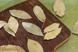 Out Of Bay Leaves Use This Instead Bay Leaves Indian Bay Leaf Bay Leaves Uses