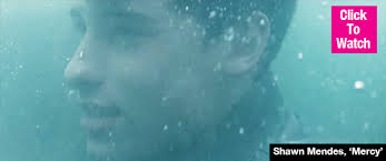 WATCH] Shawn Mendes 'Mercy' Music Video: He Nearly Drowns In Intense Vid