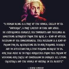 Lessons from Einstein on Pinterest | Einstein, Albert Einstein ... via Relatably.com
