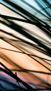 Samsung galaxy note wallpaper gambar co id 01 04 2019 ini adalah wallpaper 4k android samsung galaxy note wallpaper hd widescreen yang di posting pada february 20 2019 oleh gambarcoid memiliki kategori nah selain dibawah ini juga ada gambar yang yang mungkin anda cari samsung. Hd Just Havent Met You Yet Samsung Galaxy A7 Wallpapers Background For Samsung A7 1080x1920 Wallpaper Teahub Io