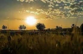 أخبار الأغواط On Instagram صور من بلدية تاويالة شمال غرب مدينة الأغواط Tourism Celestial Algeria