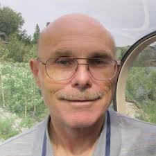 During the pandemic I started a tree