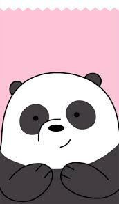 Cute korean cat wallpapers top free cute korean cat pastel wallpapers free hd download 500 hq unsplash korean wallpaper 60 images cute aesthetic wallpapers for. Anime Bear Wallpapers Wallpaper Cave
