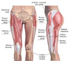 Everyone Thinks They Have Horrible Itbands When In Reality Their It Bands Are Stuck Fascially If You Call Pull Tensor Fasciae Latae Massage Iliotibial Band