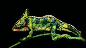 Gif Chameleon Ladies Body Painting Pictures Johannes Stoetter Body Art Painting