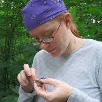 PDF) Evolutionary Genetics of Kloss's Gibbons (Hylobates Klossii):  Systematics, Phylogeography, and Conservation