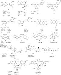 Image result for Commiphora fulvotomentosa