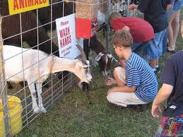 Maybe you would like to learn more about one of these? 85 Farm Petting Zoo Inspiration Ideas Zoo Animals Zoo Farm