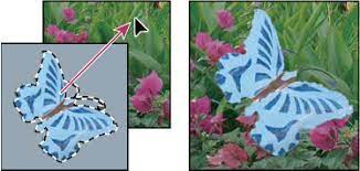 Check spelling or type a new query. Move Copy And Delete Selected Pixels In Photoshop