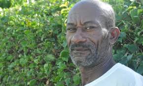 Toxic gas, livelihoods under threat and power outages: how a seaweed causes  chaos in Caribbean