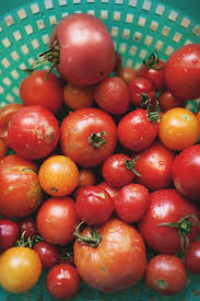 Tomatoes1 Copy By The Little Red House Via Flickr Tomato Make Sun Dried Tomatoes Sun Dried Tomato