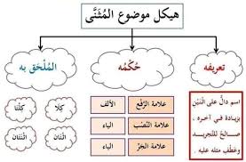 بناء على طلبكم درس المثنى المثنى اللغة العربية نحو و صرف فى صور Facebook