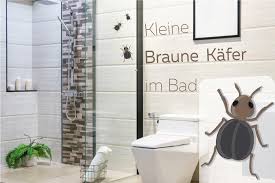 Kleine weiße würmer im badezimmer die küche ist in wohnhäusern der am stärksten von ungezieferbefall betroffene raum. Kleine Braune Kafer Im Bad Welches Tierchen Ist Es Was Tun