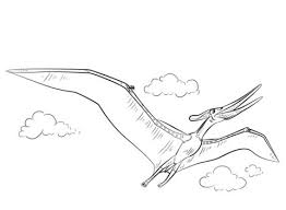 Show your kids a fun way to learn the abcs with alphabet printables they can color. Pteranodon Flying Coloring Page From Pteranodon Category Select From 26355 Printable Crafts Of Dinosaur Coloring Pages Dinosaur Coloring Minion Coloring Pages