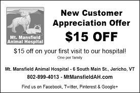 Join millions of people using oodle to find kittens for adoption, cat and kitten listings, and other pets adoption. Mt Mansfield Animal Hospital Adoptions Mt Mansfield Animal Hospital