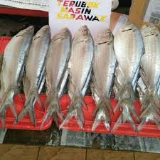 Ikan terubok masin merupakan makanan kegemaran penduduk di s arawak. Resepi My Ikan Terubuk Masin Resepimyresepi Boloit Com