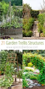 Create Enchanting Garden Spaces With 21 Beautiful And Diy Friendly Trellis And Garden Structures Such As Tunnels Diy Garden Trellis Garden Trellis Diy Trellis