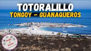 Según el centro sismológico nacional, el epicentro fue localizado a 12 kms al sureste de tongoy. Totoralillo Tongoy Guanaqueros Y Sus Playas Chile 4k Youtube
